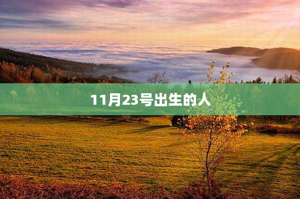 11月23号出生的人
