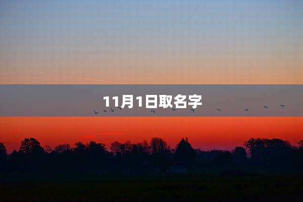11月1日取名字