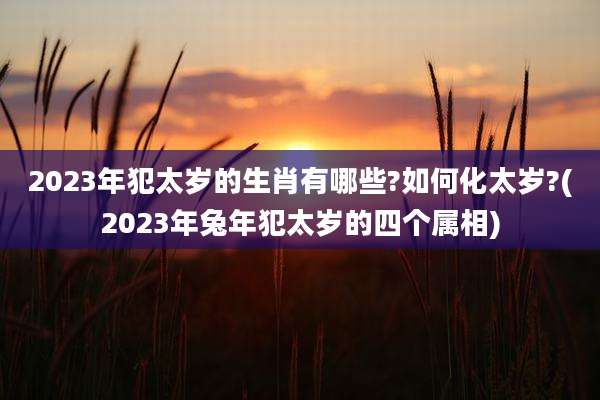 2023年犯太岁的生肖有哪些?如何化太岁?(2023年兔年犯太岁的四个属相)