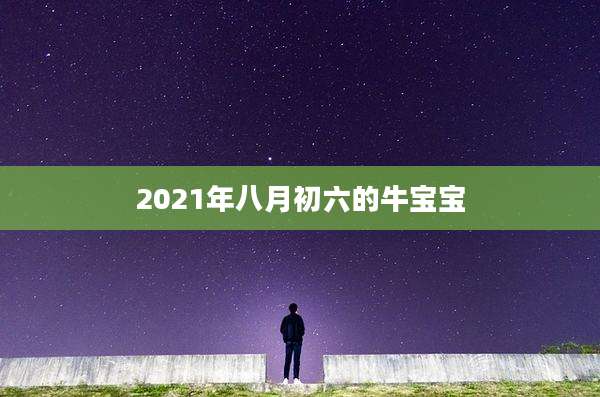 2021年八月初六的牛宝宝