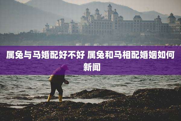 属兔与马婚配好不好 属兔和马相配婚姻如何 新闻