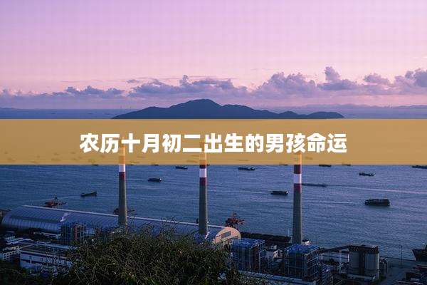 农历十月初二出生的男孩命运