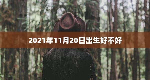 2021年11月20日出生好不好