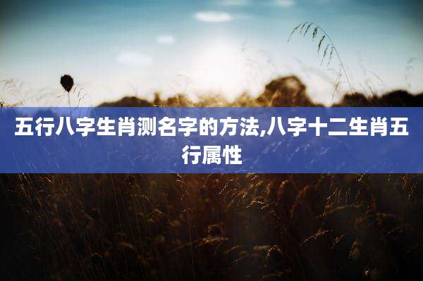 五行八字生肖测名字的方法,八字十二生肖五行属性
