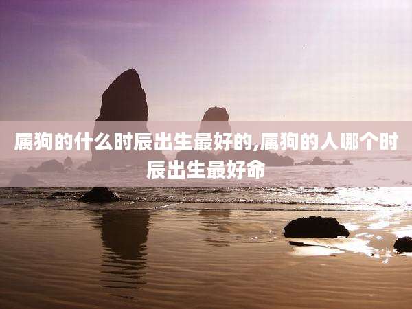 属狗的什么时辰出生最好的,属狗的人哪个时辰出生最好命