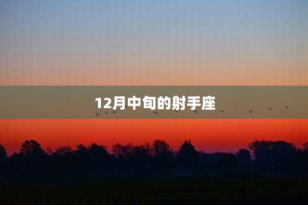 12月中旬的射手座