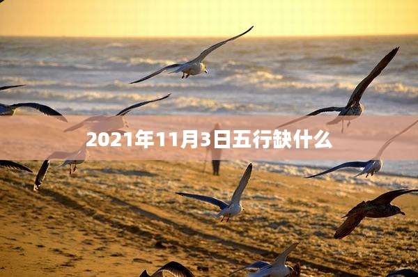 2021年11月3日五行缺什么