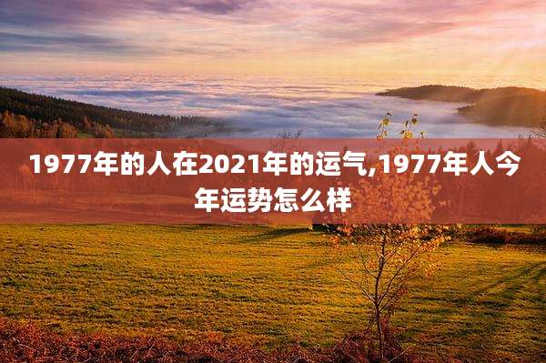 1977年的人在2021年的运气,1977年人今年运势怎么样