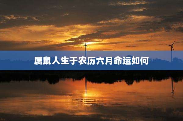 属鼠人生于农历六月命运如何