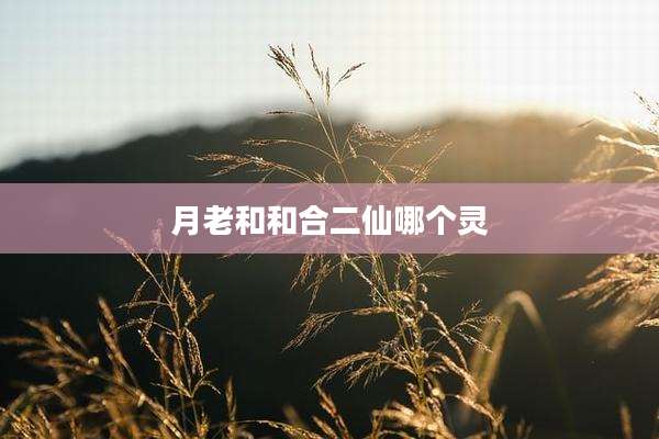 月老和和合二仙哪个灵