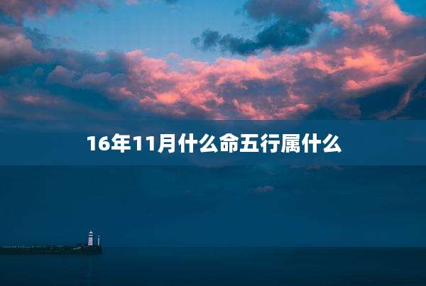 16年11月什么命五行属什么