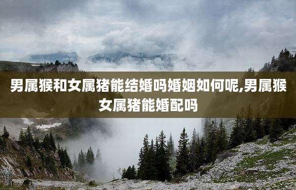 男属猴和女属猪能结婚吗婚姻如何呢,男属猴女属猪能婚配吗