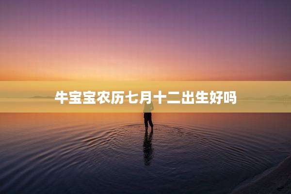 牛宝宝农历七月十二出生好吗