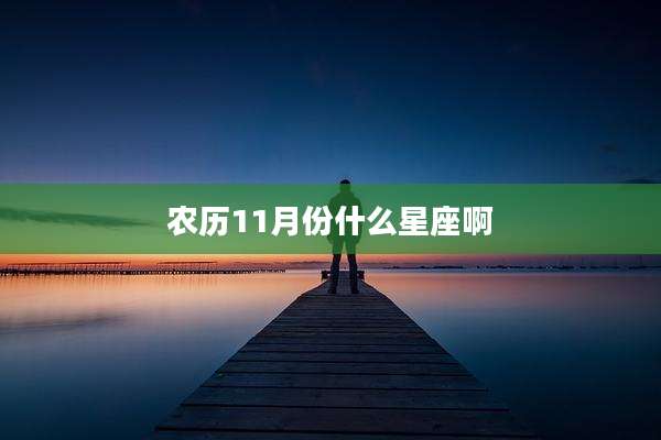 农历11月份什么星座啊