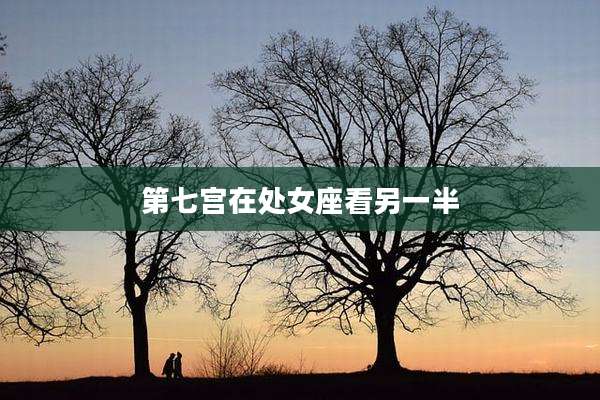第七宫在处女座看另一半