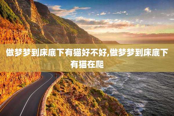 做梦梦到床底下有猫好不好,做梦梦到床底下有猫在爬