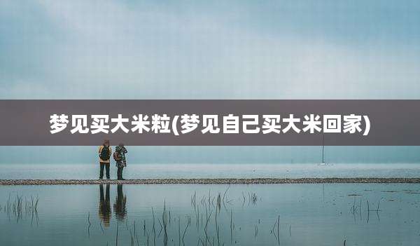 梦见买大米粒(梦见自己买大米回家)