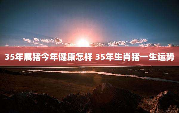 35年属猪今年健康怎样 35年生肖猪一生运势
