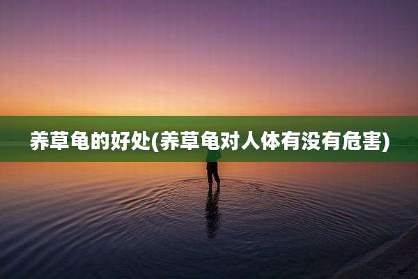 养草龟的好处(养草龟对人体有没有危害)