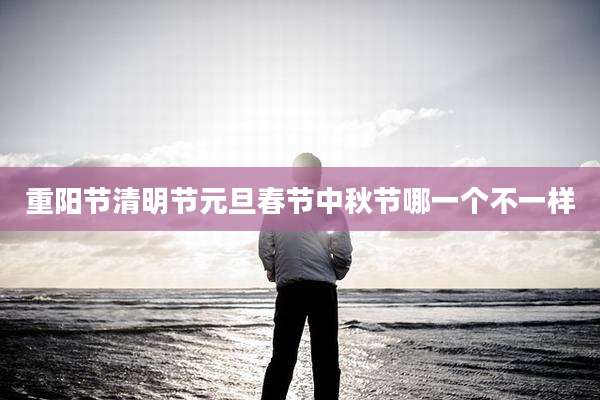 重阳节清明节元旦春节中秋节哪一个不一样