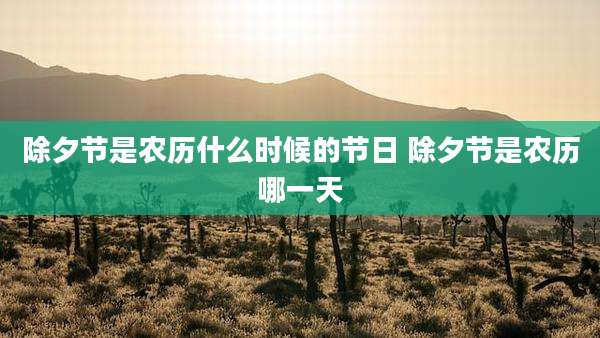 除夕节是农历什么时候的节日 除夕节是农历哪一天