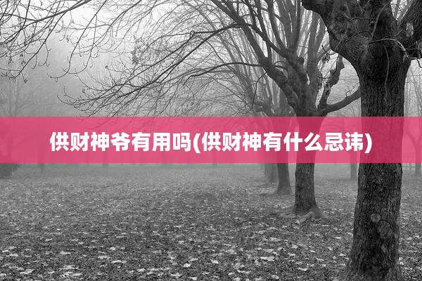 供财神爷有用吗(供财神有什么忌讳)