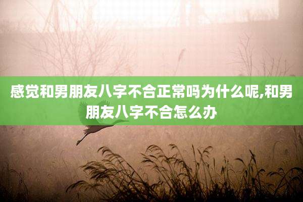 感觉和男朋友八字不合正常吗为什么呢,和男朋友八字不合怎么办
