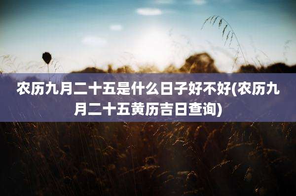 农历九月二十五是什么日子好不好(农历九月二十五黄历吉日查询)