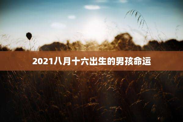 2021八月十六出生的男孩命运