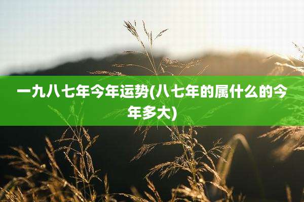 一九八七年今年运势(八七年的属什么的今年多大)