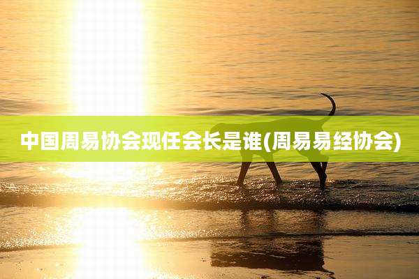 中国周易协会现任会长是谁(周易易经协会)