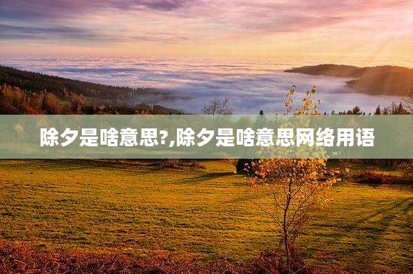 除夕是啥意思?,除夕是啥意思网络用语