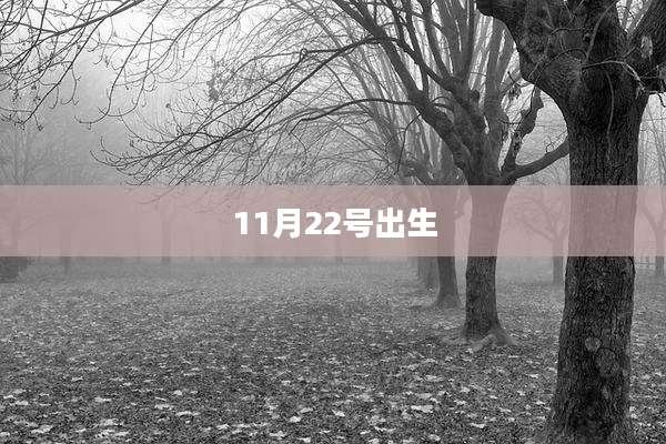 11月22号出生
