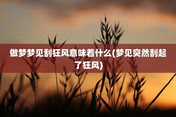 做梦梦见刮狂风意味着什么(梦见突然刮起了狂风)