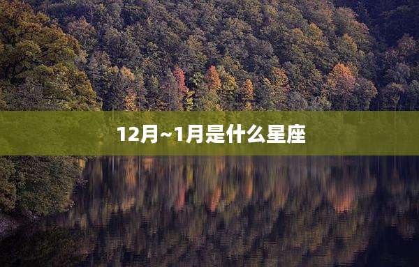 12月~1月是什么星座