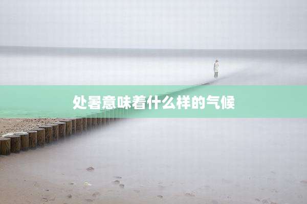 处暑意味着什么样的气候