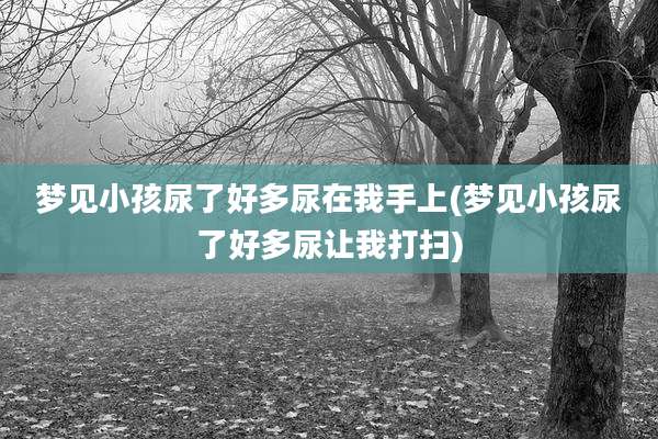 梦见小孩尿了好多尿在我手上(梦见小孩尿了好多尿让我打扫)