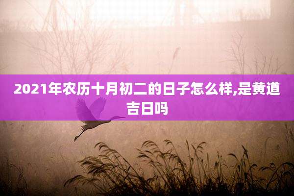 2021年农历十月初二的日子怎么样,是黄道吉日吗