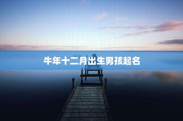 牛年十二月出生男孩起名