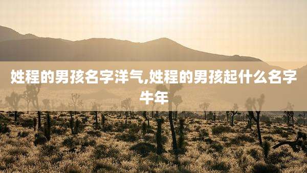 姓程的男孩名字洋气,姓程的男孩起什么名字牛年