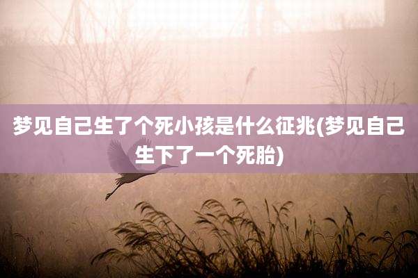 梦见自己生了个死小孩是什么征兆(梦见自己生下了一个死胎)
