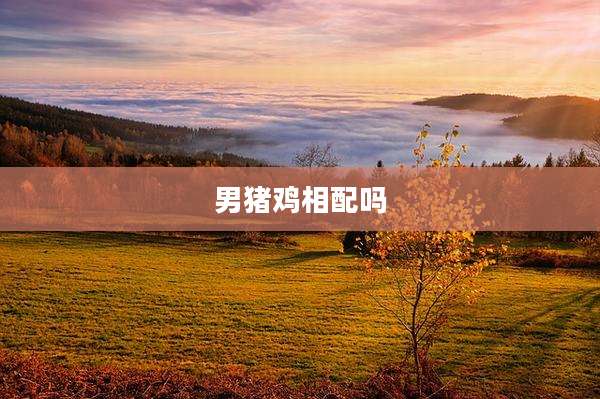 男猪鸡相配吗