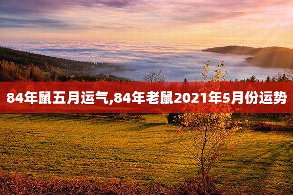 84年鼠五月运气,84年老鼠2021年5月份运势