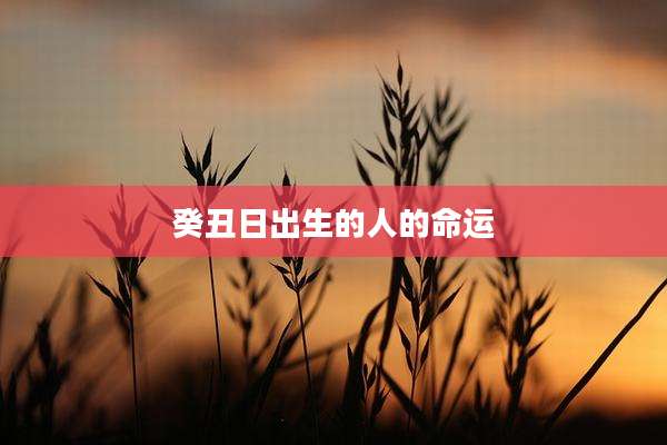 癸丑日出生的人的命运