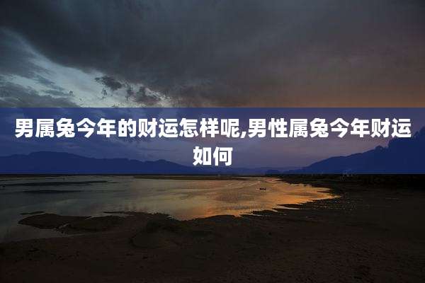 男属兔今年的财运怎样呢,男性属兔今年财运如何