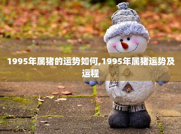 1995年属猪的运势如何,1995年属猪运势及运程
