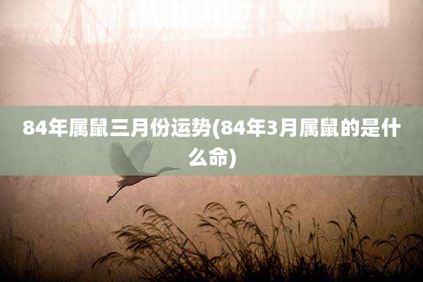 84年属鼠三月份运势(84年3月属鼠的是什么命)