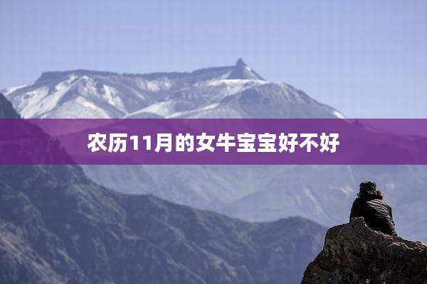 农历11月的女牛宝宝好不好