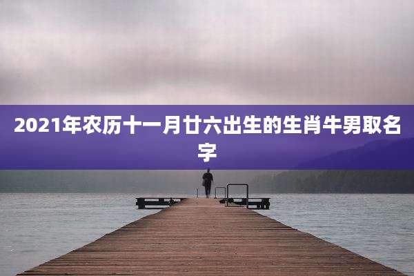 2021年农历十一月廿六出生的生肖牛男取名字