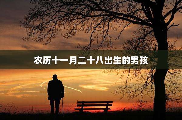 农历十一月二十八出生的男孩